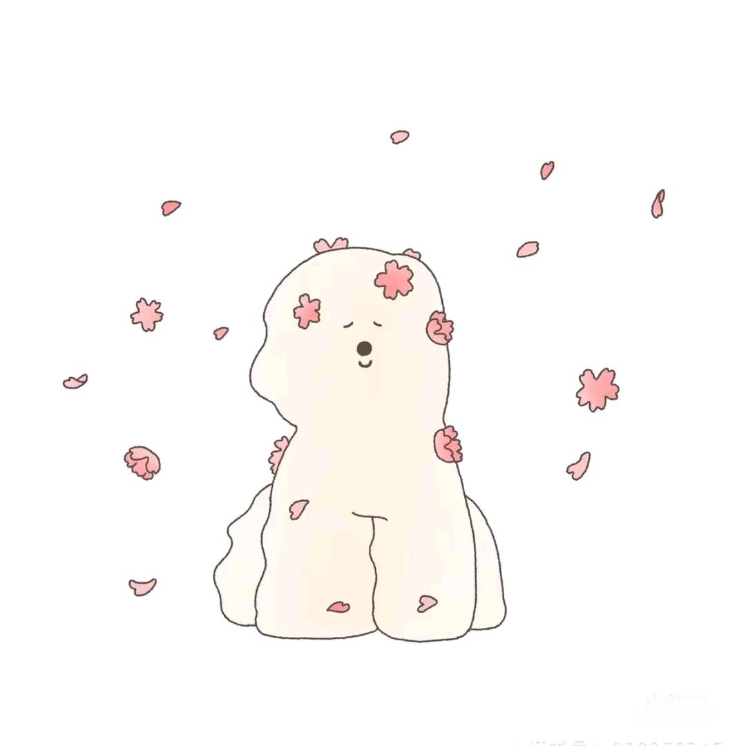十三ソ🌸