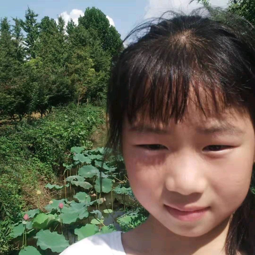 有心无胆