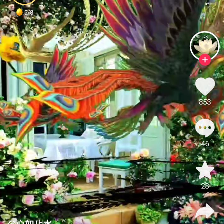 💗᭄余🕊ꦿ生随心ꦿ໊⁵²´ღ᭄ꫛ💞