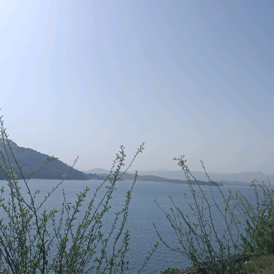 风景独好……
