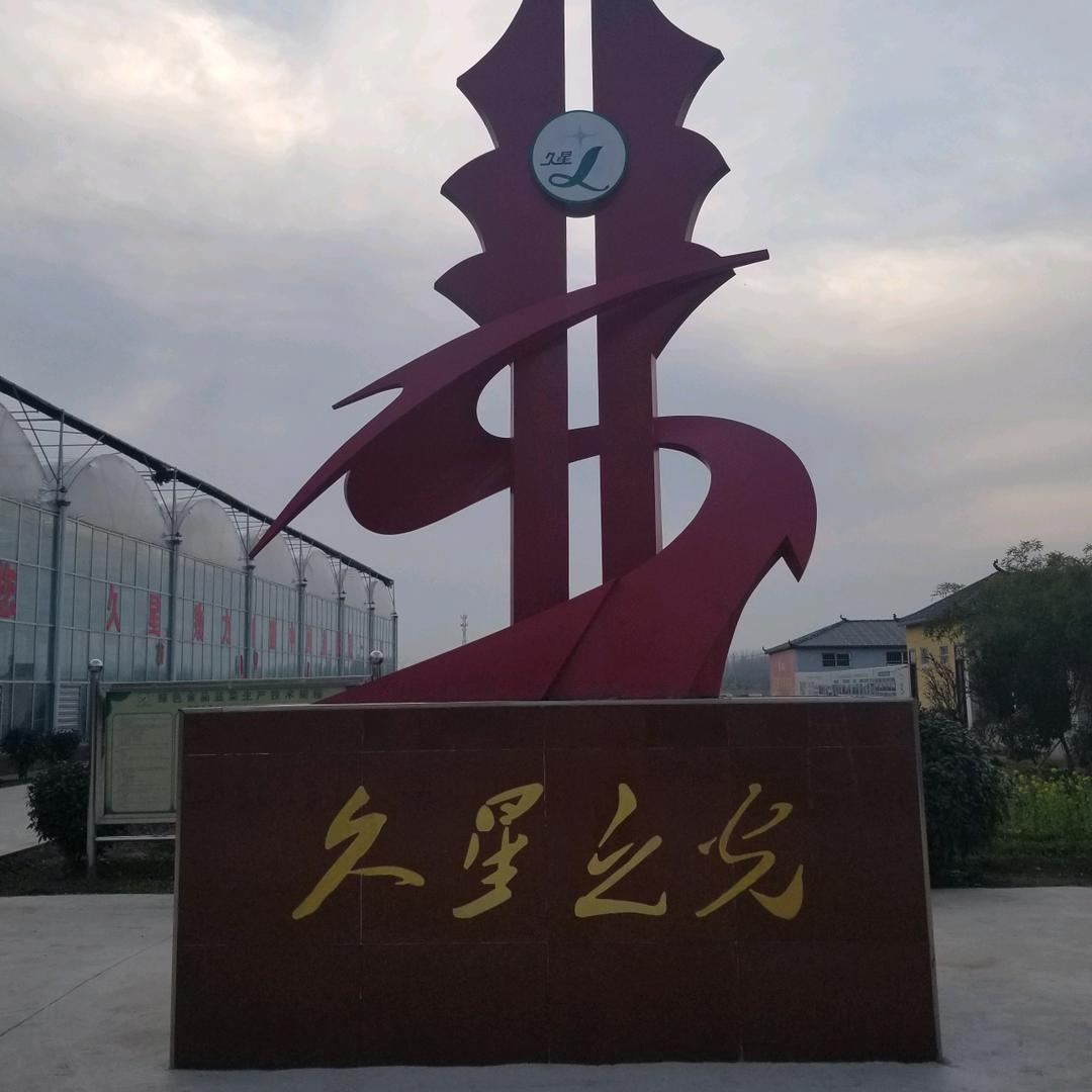 金不换  韭菜种子  橱窗好物优选