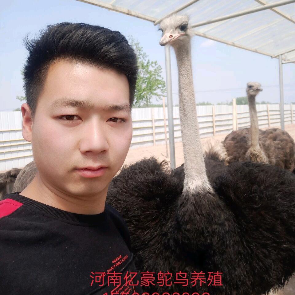 亿豪养殖
