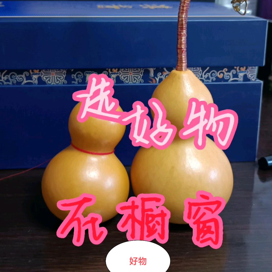 启  飞
