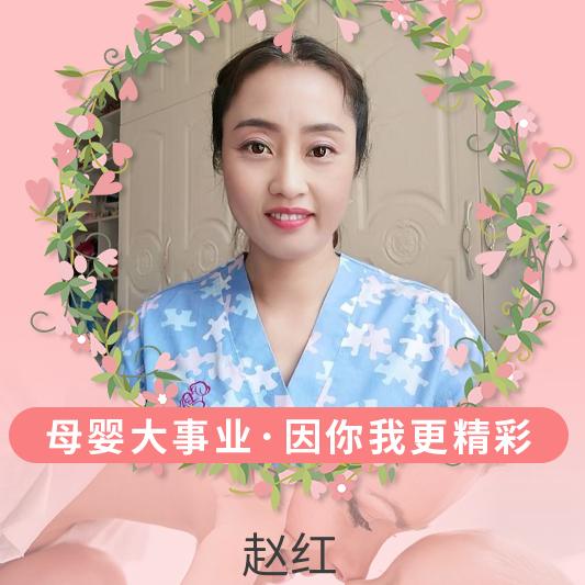 专业月嫂赵红