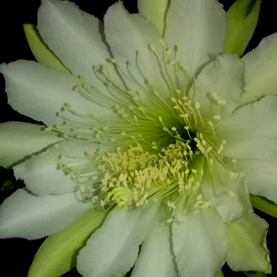 阳原银泰一楼品牌内衣店