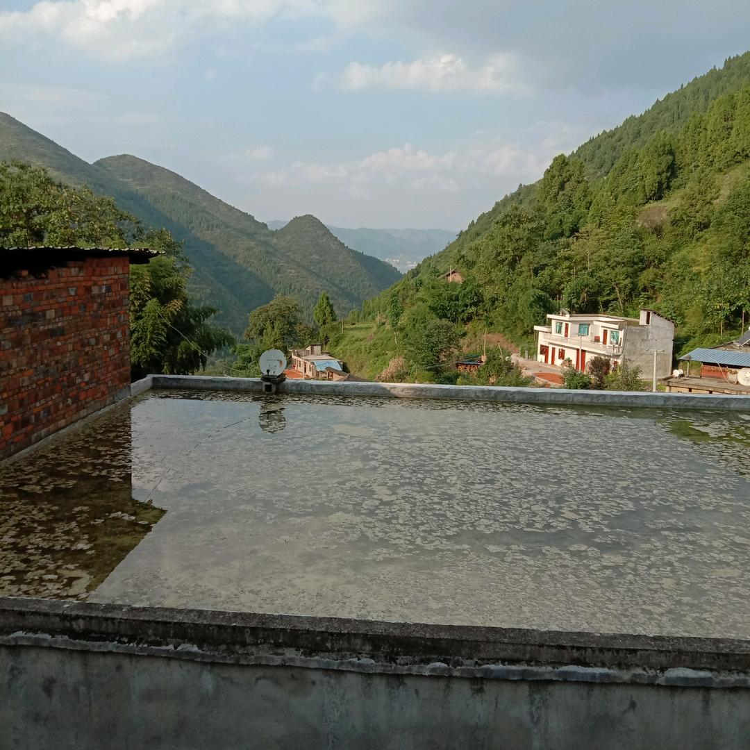 被岁月染过的梦