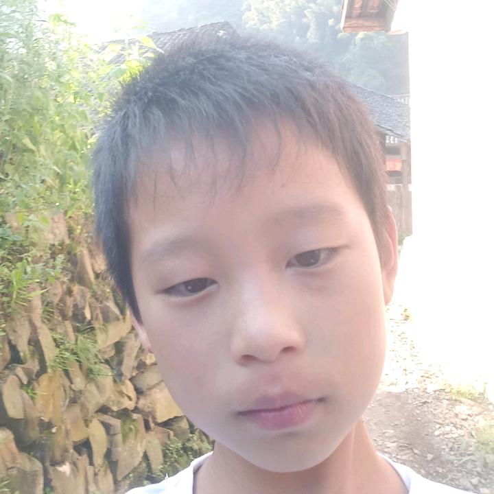 龙金凤