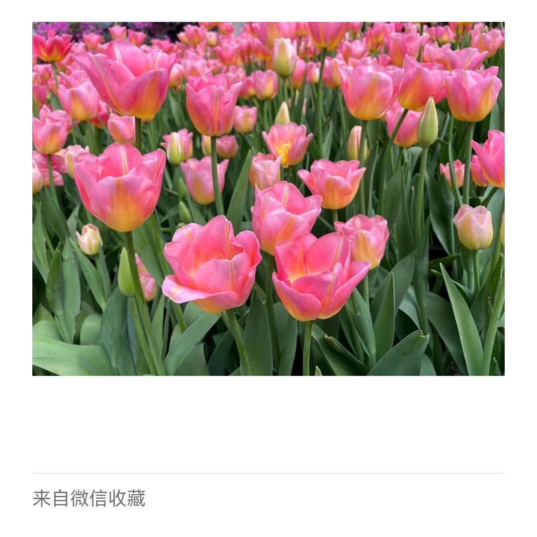 做好自己