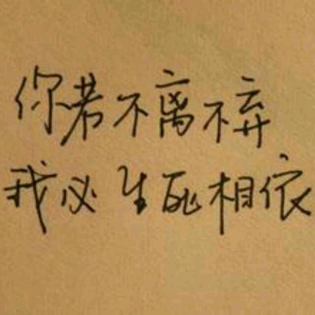 情怕伤