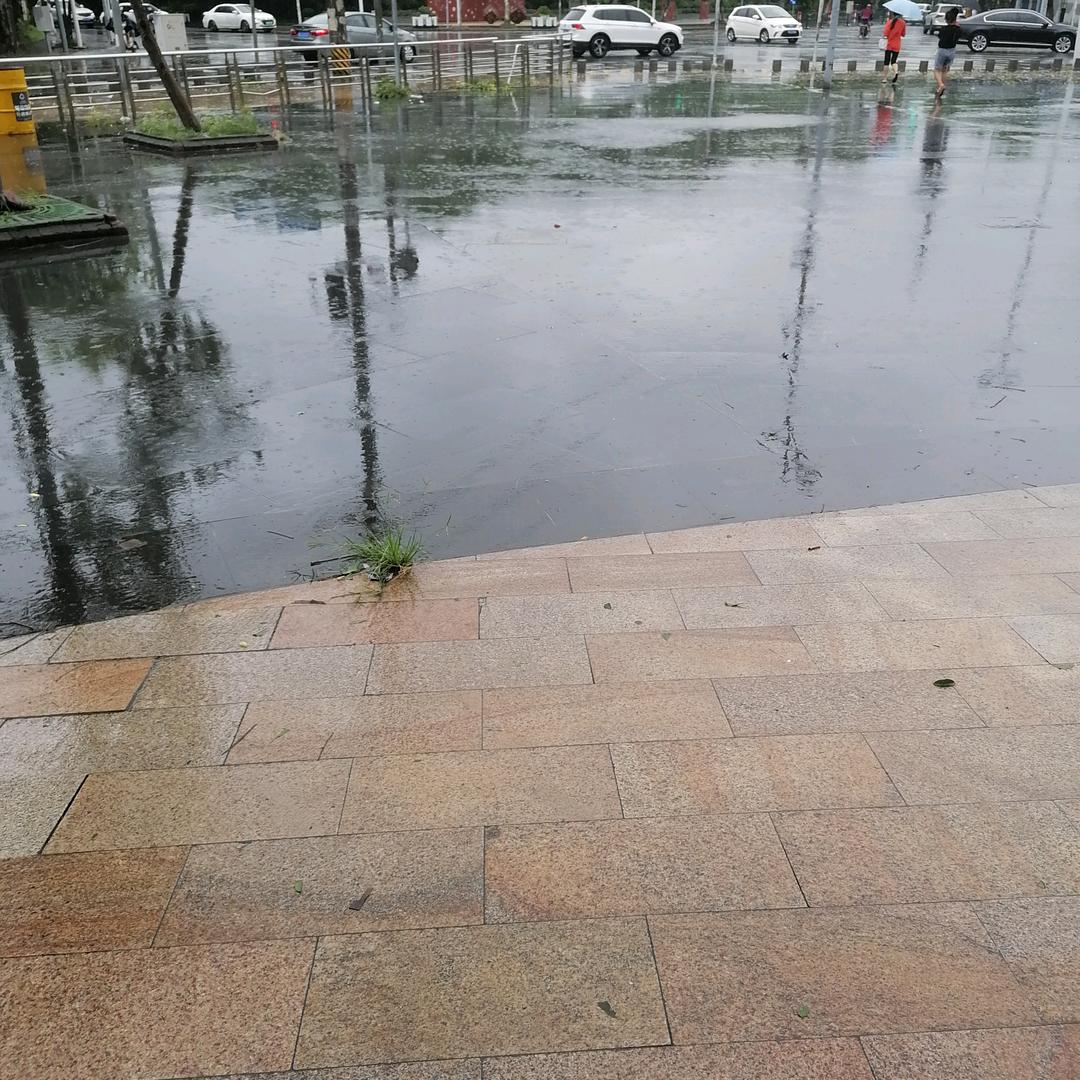 赵师