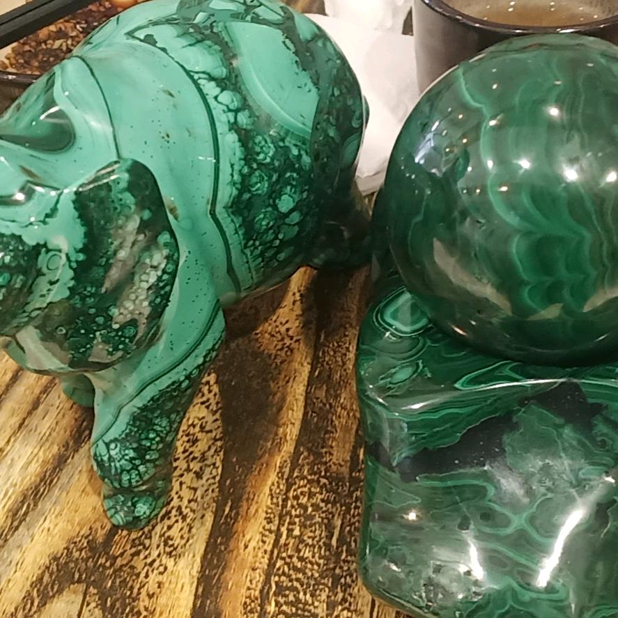 火龙鸟