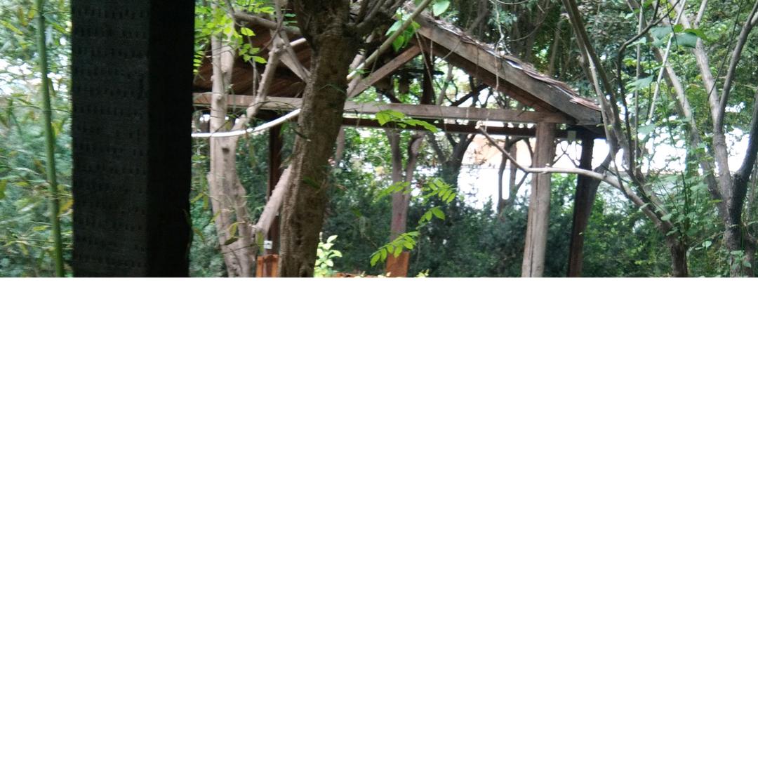 用户1891067589708温暖