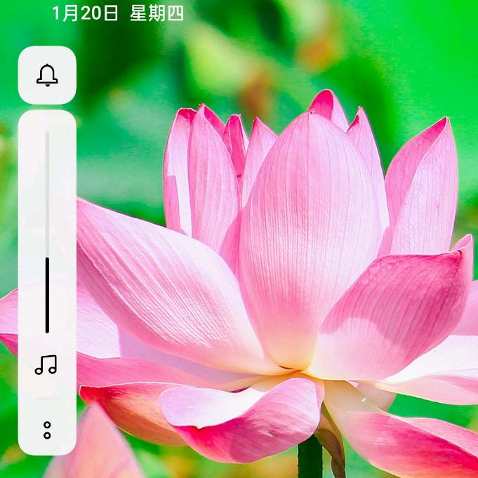 玫瑰心锁