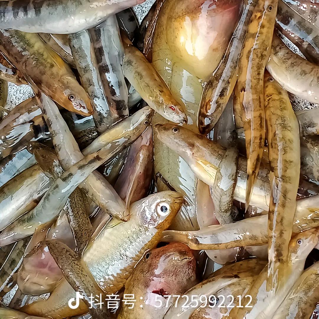 盘州