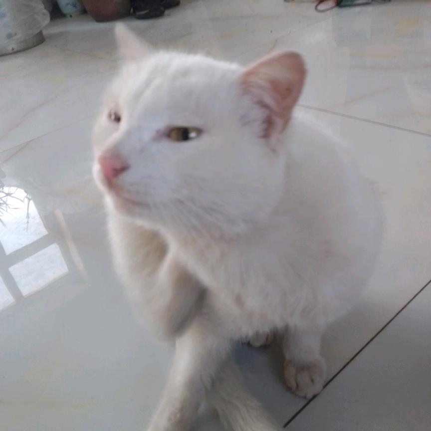 人情淡漠！如尘埃