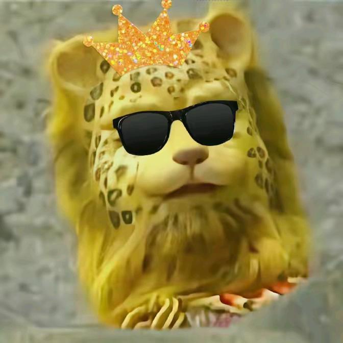 嘿嘿嘿