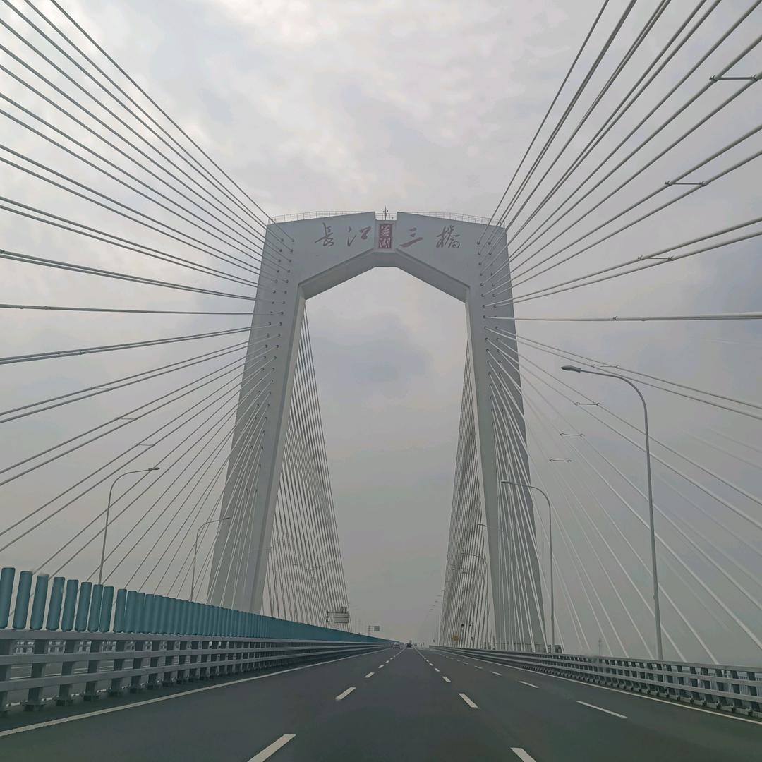 欢乐柠檬