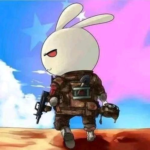 鱼的记忆