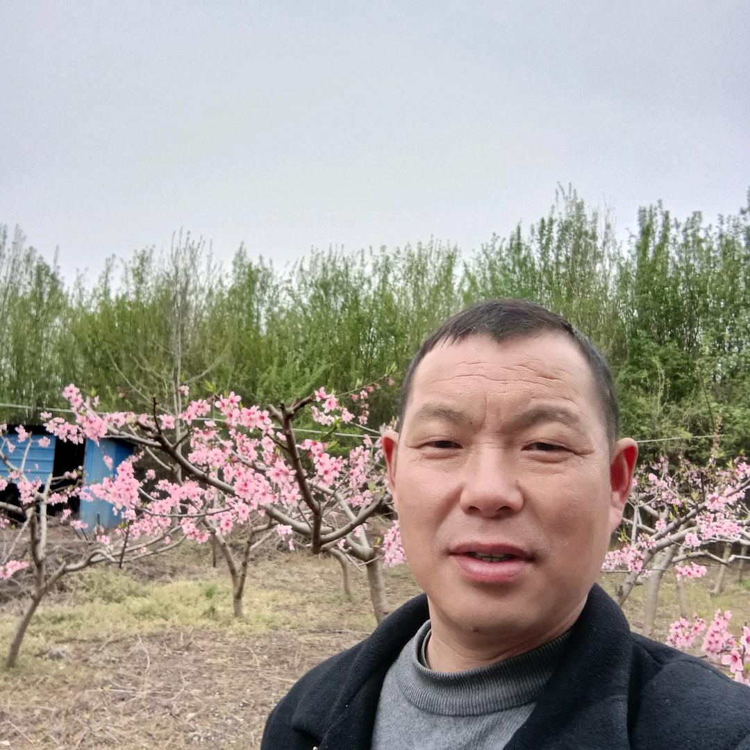 照亮一生