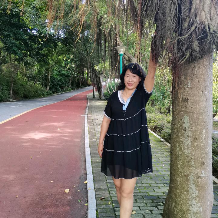 倾城月光