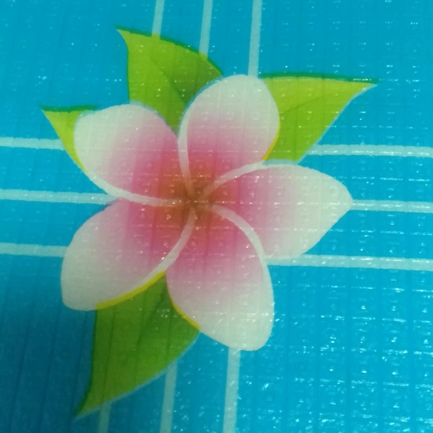 皈依