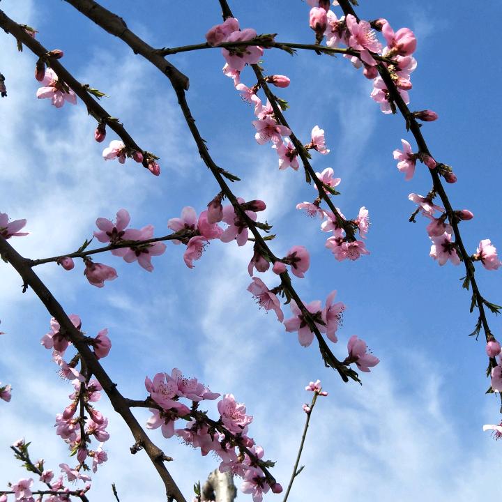 用户753718609257