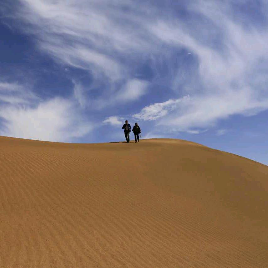 阿拉善尚善房产（一颗开花的树）