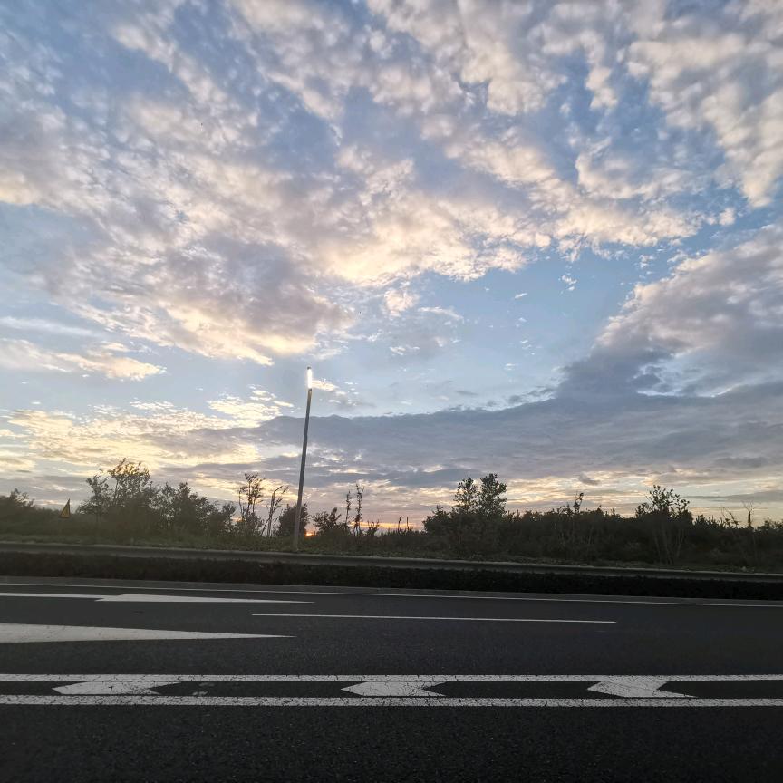 一直在路上🐘