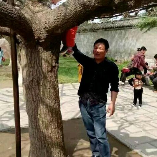 陈镇抖音😁