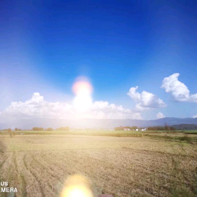 小邻⁵🐬⁰¹⁰⁵