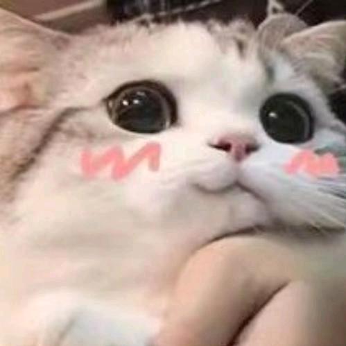 长夜语风