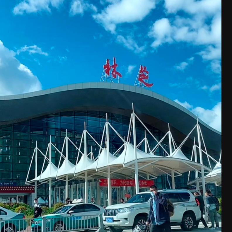 琪琪
