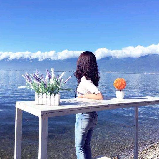 @🕊️冷温柔🕊️