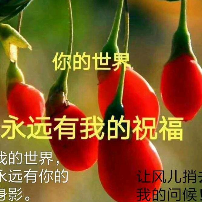 许我个未来.
