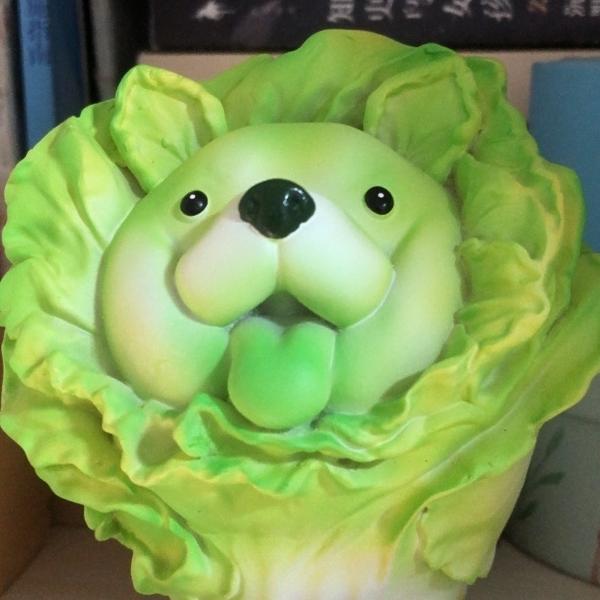 🌈是白菜呀🌈