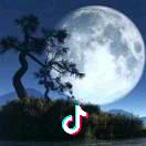 㐃࿐ゝ༣尐広