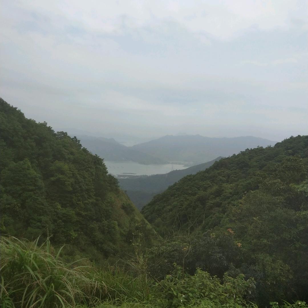 四海为家