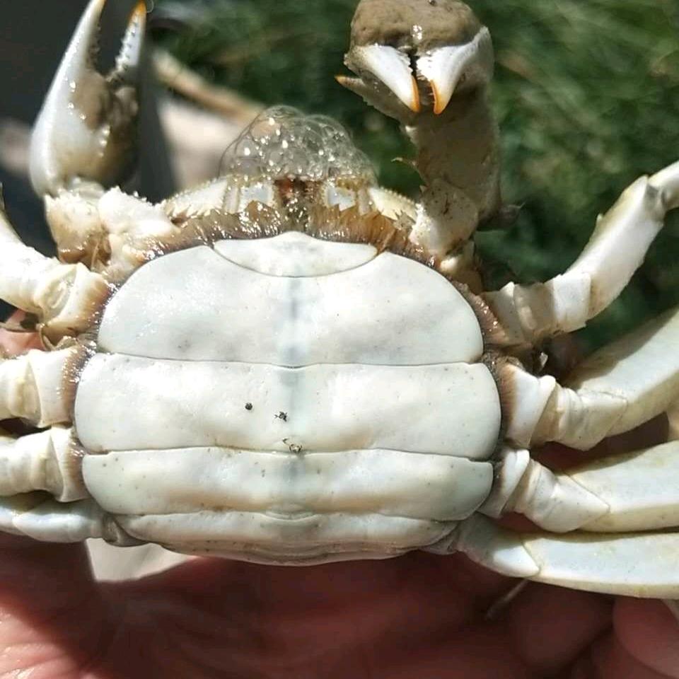 小陈