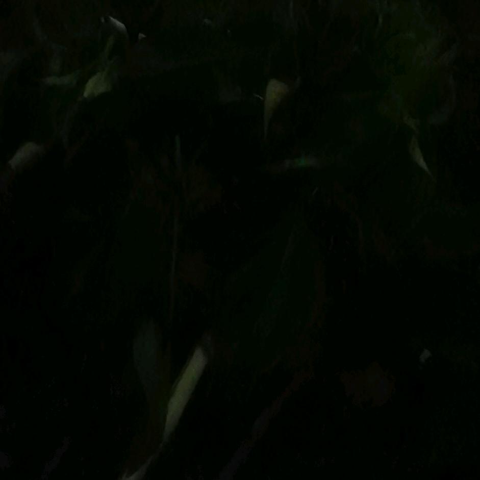 dygkym96hxcg