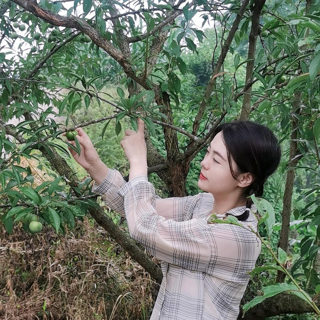 琴小琴