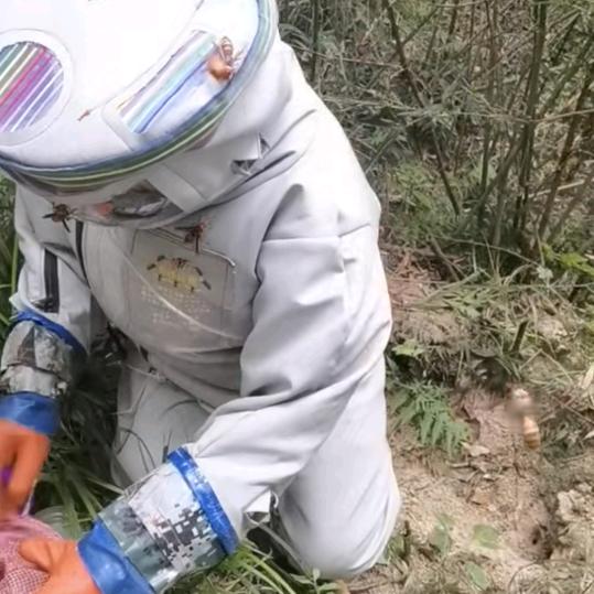 青山千年古寨