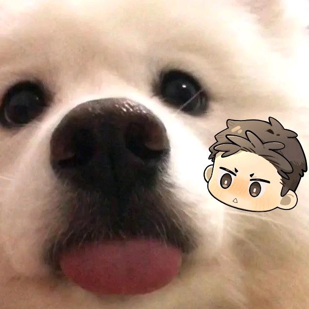𝙭𝙞𝙖𝙤𝙘𝙝𝙚𝙣𝙊_o