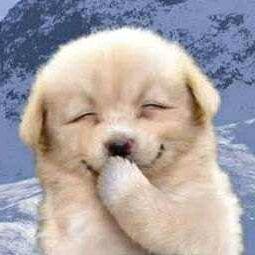 敦嘞个墩礅潡📷✈️