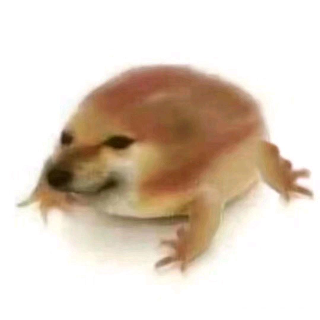 我也不知道行不行