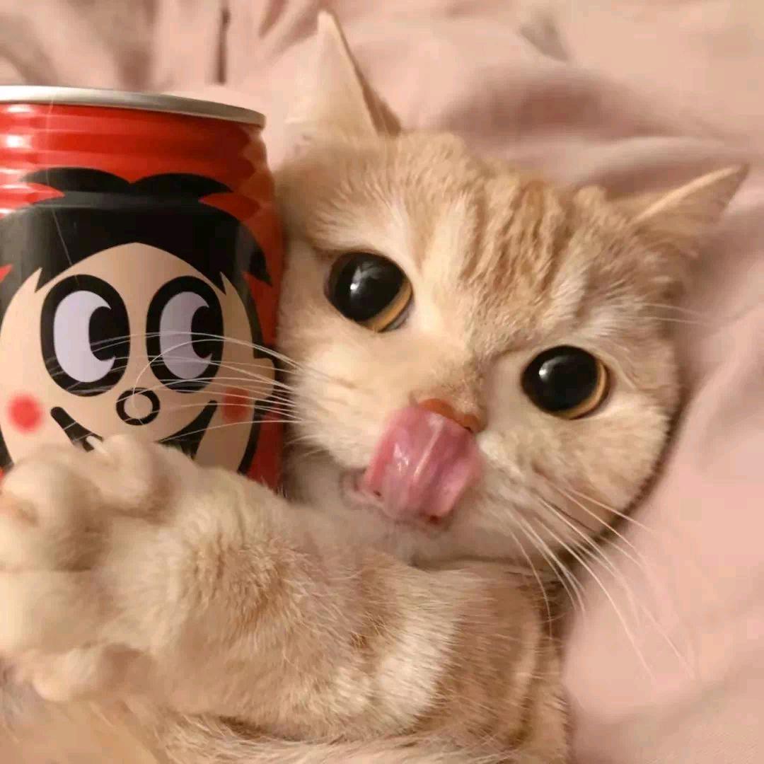 晴天下雨🐯
