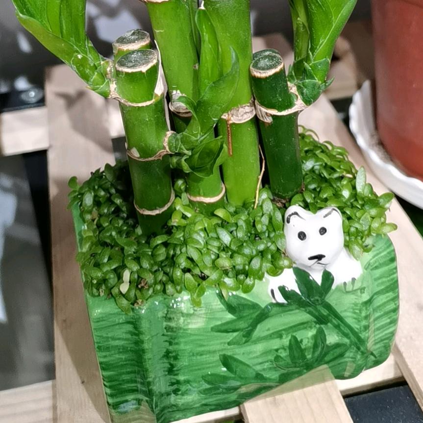 姜堰房产王姐