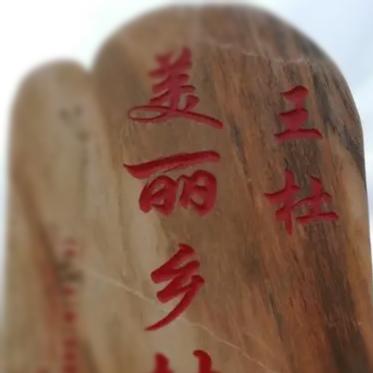 王杜村的那些事