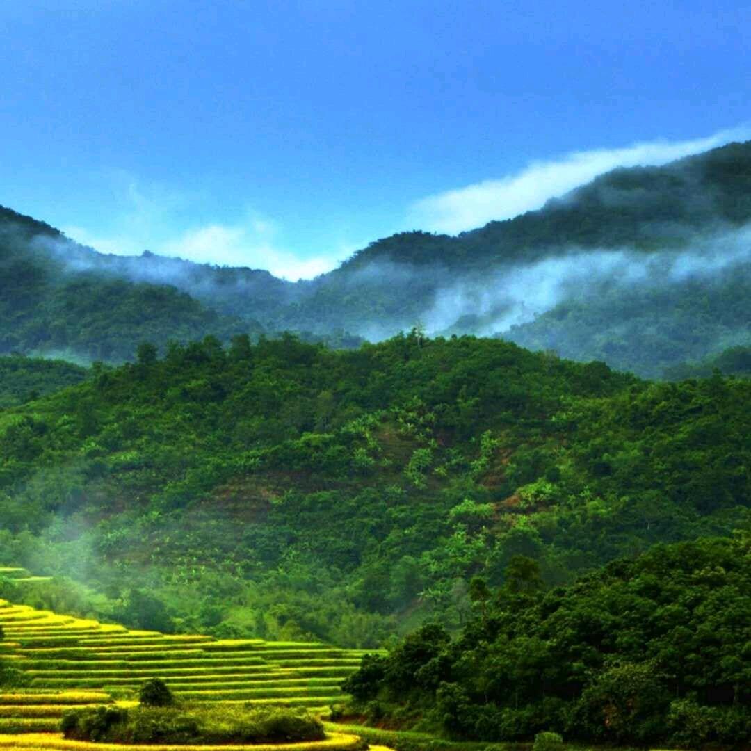 润物