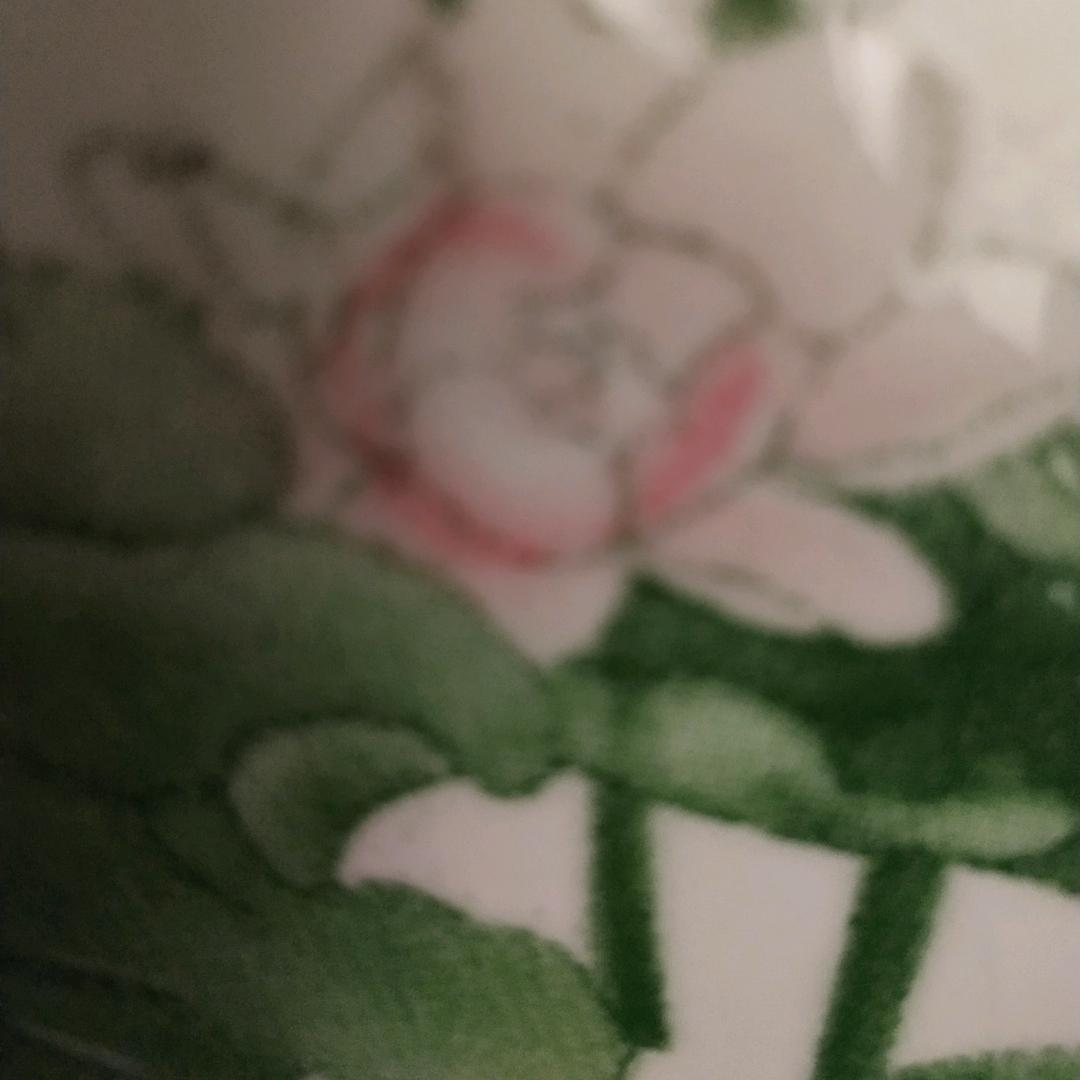 荷花在线