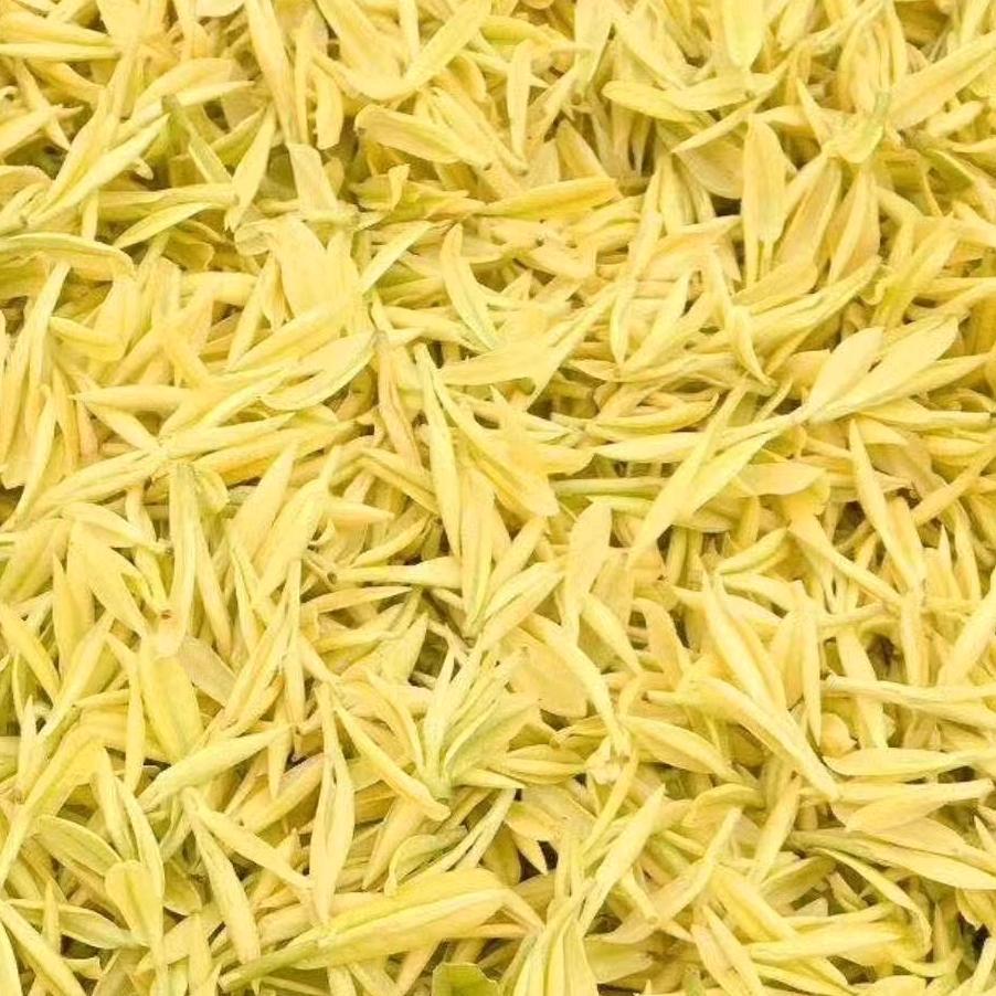 舒茶茶庄